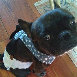 Meet your Posher, Rita